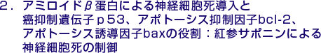 2.アミロイドβ蛋白による神経細胞死導入と癌抑制遺伝子ｐ53、アポトーシス抑制因子bcl-2、アポトーシス誘導因子baxの役割：紅参サポニンによる神経細胞死の制御