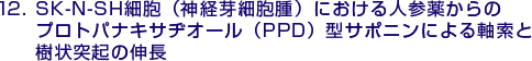 12.SK-N-SH細胞（神経芽細胞腫）における人参薬からのプロトパナキサヂオール（PPD）型サポニンによる軸索と樹状突起の伸長