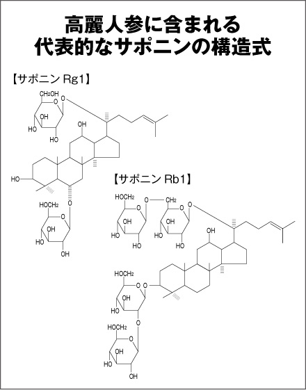 高麗人参に含まれる代表的なサポニンの構造式　サポニン Rg1,サポニンRb1