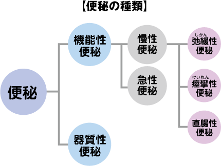 便秘の種類