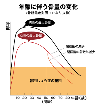 年齢に伴う骨量の変化