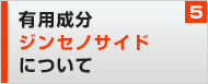 有用成分ジンセノサイドについて