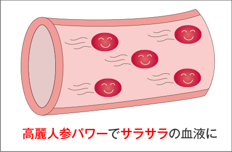 高麗人参パワーでサラサラの血液に