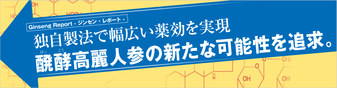 GinsengReport 独自の製法で幅広い薬効を実現。醗酵高麗人参の新たなる可能性を追求。