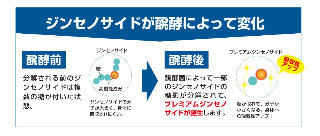 ジンセノダイドが醗酵によって変化