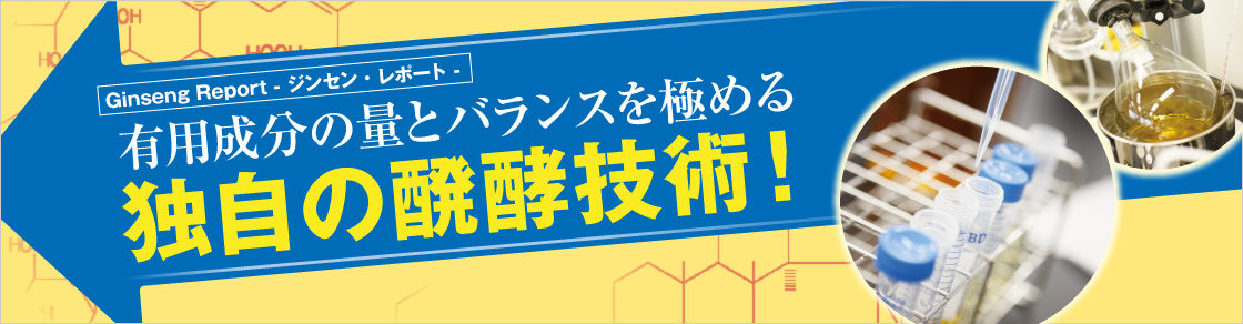 GinsengReport 有用成分の量とバランスを極める独自の醗酵技術