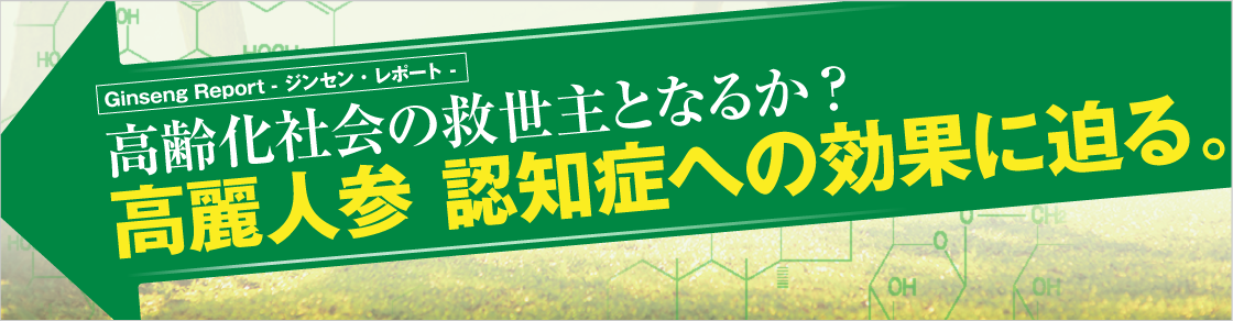 GinsengReport 高齢化社会の救世主となるか？高麗人参　認知症への効果に迫る。