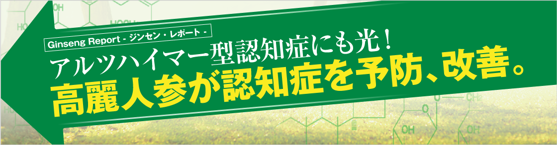 GinsengReport アルツハイマー型認知症にも光！高麗人参が認知症を予防、改善。