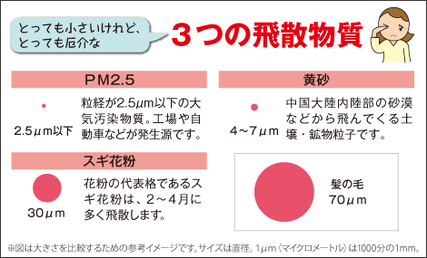 春先のアレルギー物質に要注意 花粉 黄砂 Pm2 5 Ginseng 15年 初春号 研究開発室