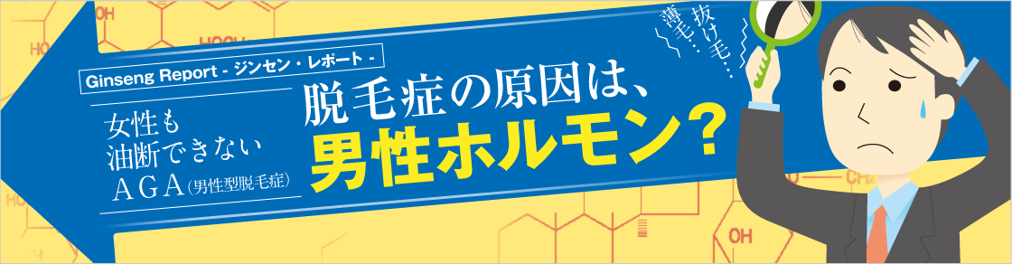 GinsengReport 女性も油断できないAGA（男性型脱毛症）脱毛症の原因は、男性ホルモン？