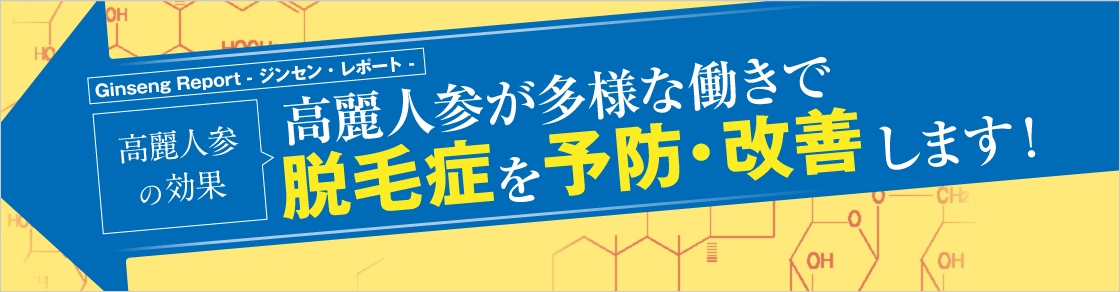 GinsengReport 高麗人参の効果 高麗人参が多様な働きで脱毛症を予防・改善します！