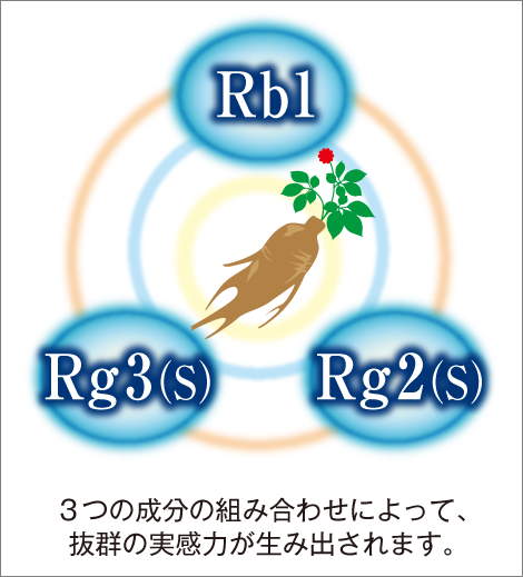 高麗人参3つの成分イメージ