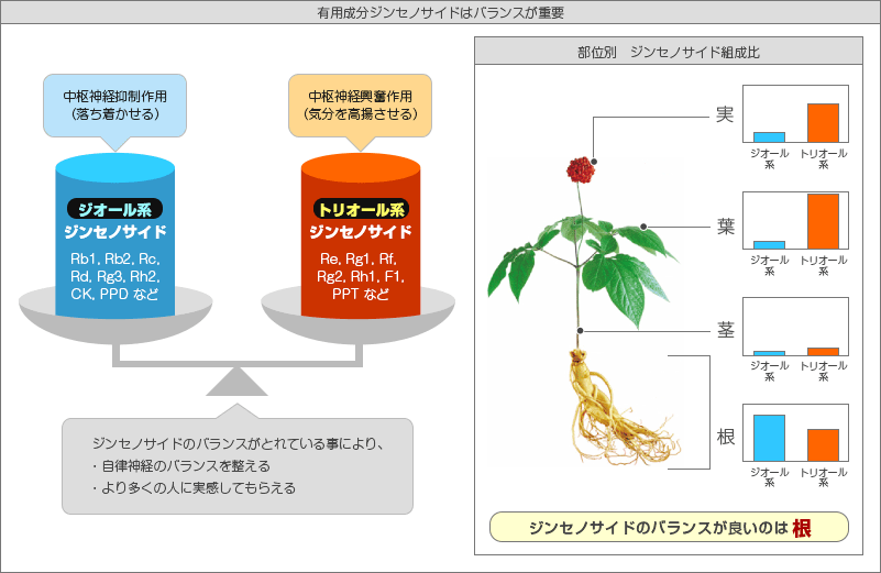 Images Of サポニン Japaneseclass Jp