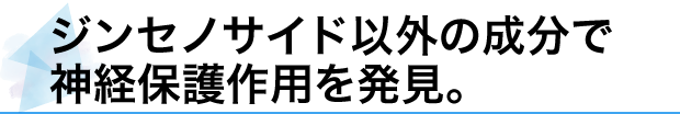 ジンセノサイド以外の成分で神経保護作用を発見